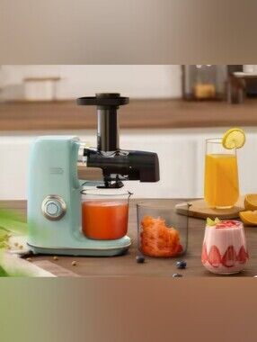 Mint Green Slow Juicer with Black Auger